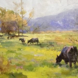 Morning Pasture